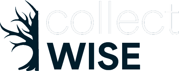 CollectWise logo